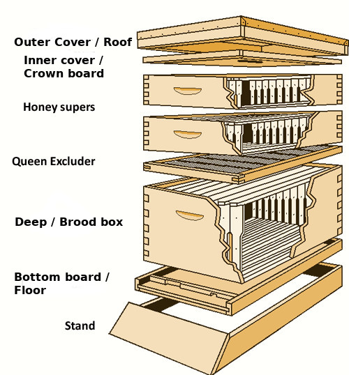 hive components